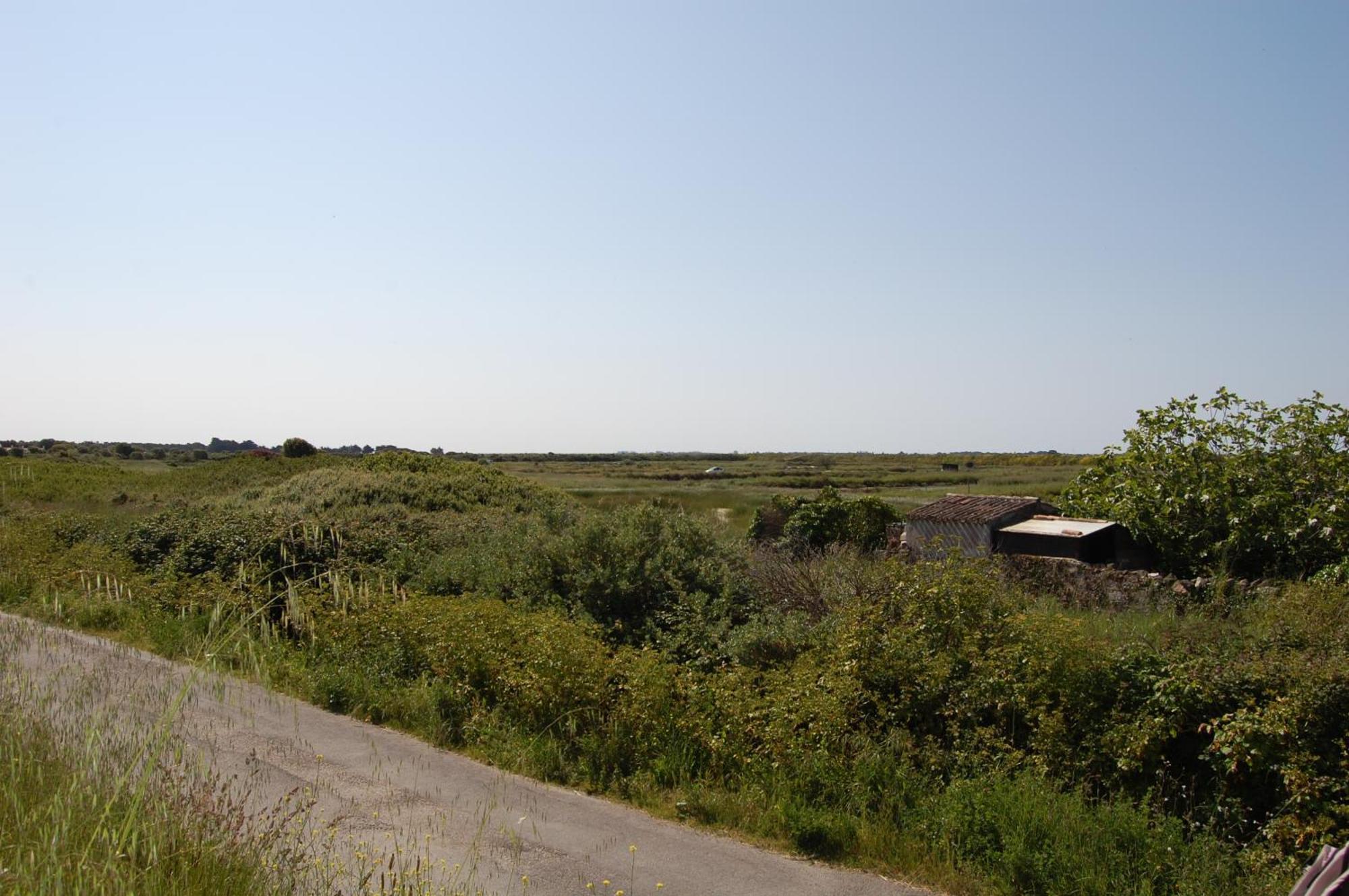 Le Parc Des Mimosas Villa Noirmoutier-en-l'Ile Luaran gambar