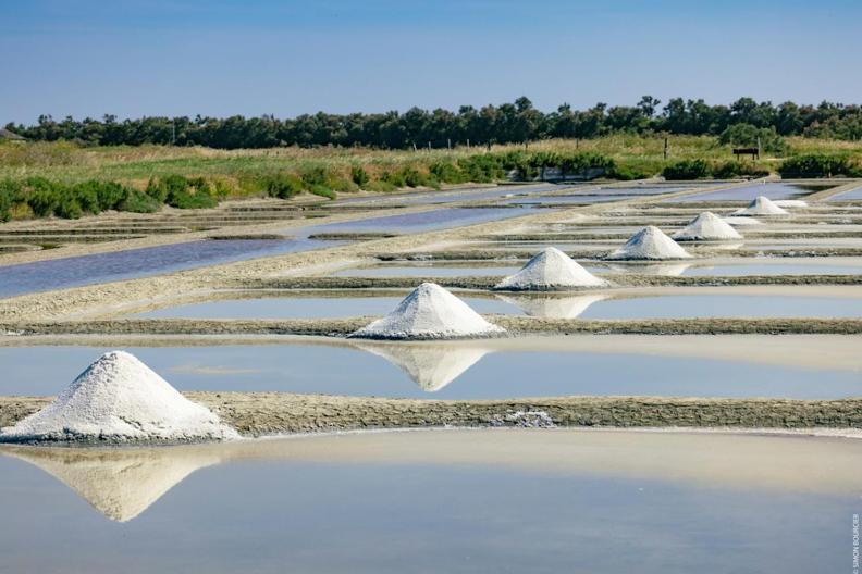 Le Parc Des Mimosas Villa Noirmoutier-en-l'Ile Luaran gambar