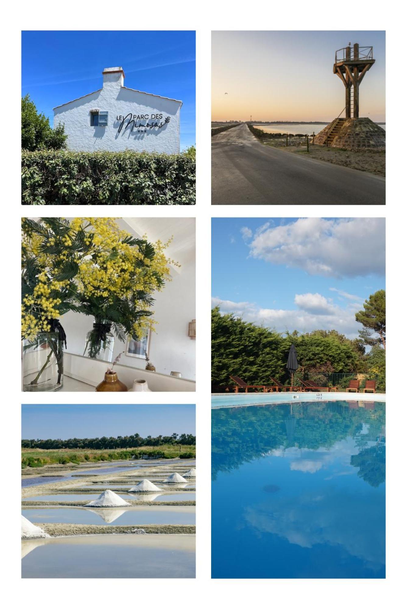 Le Parc Des Mimosas Villa Noirmoutier-en-l'Ile Luaran gambar